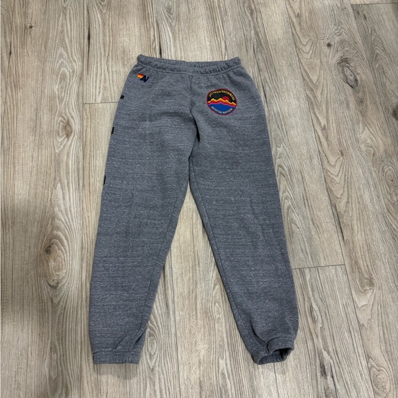 Aviator Nation Other - Aviator Nation Jazz Aspen sweatpants